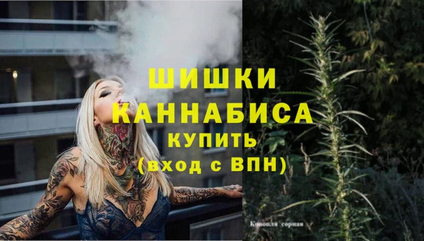дмт Нягань