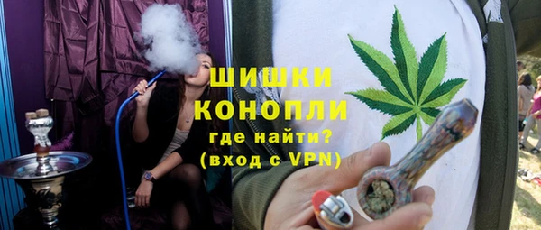 дмт Нягань